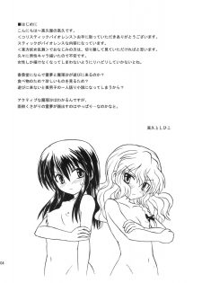 (C71) [Takakuya (Takaku Toshihiko)] Koristic Violence (Touhou Project) - page 4