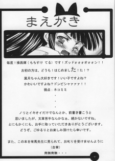 (C67) [MeroMeroFactory XL (Mochisuke Teru)] Nekomimi DE NyanNyan Mode (Tsukuyomi: Moon Phase) - page 4
