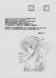 (C67) [Inudrill Lolita Engine (Tondabayashi Sayaka)] Ane to Ojou (School Rumble) - page 3