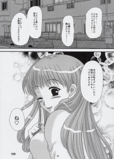 (C67) [Inudrill Lolita Engine (Tondabayashi Sayaka)] Ane to Ojou (School Rumble) - page 24