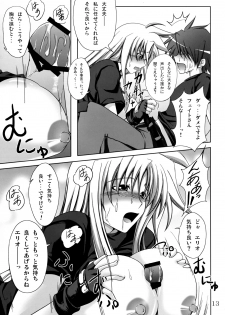 (C73) [SUTE☆POTE (Kagura Soushi)] riri tama hoshuu jugyou! (Mahou Shoujo Lyrical Nanoha) - page 12