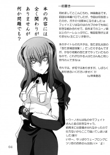 (C73) [SUTE☆POTE (Kagura Soushi)] riri tama hoshuu jugyou! (Mahou Shoujo Lyrical Nanoha) - page 3
