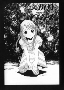 [Shinobu Tanei] Yabu kara Boy meets Girl - page 32