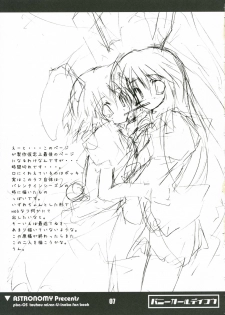 [ASTRONOMY (SeN)] Bunny Girl de Ikou (Touhou Project) - page 6