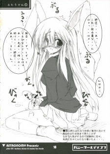 [ASTRONOMY (SeN)] Bunny Girl de Ikou (Touhou Project) - page 17