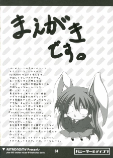 [ASTRONOMY (SeN)] Bunny Girl de Ikou (Touhou Project) - page 3
