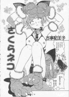 [MAGNA-BROSS (Kojiki Ouji)] Sakura Chiru (Card Captor Sakura) - page 15