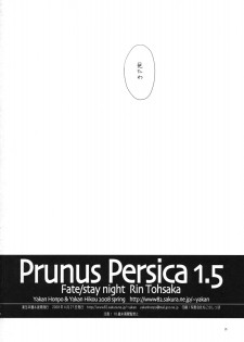 (COMIC1☆2)[[Yakan Honpo & Yakan Hikou (Inoue Tommy)] Prunus Persica 1.5 (Fate/stay night) - page 25