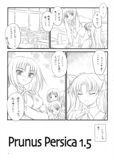 (COMIC1☆2)[[Yakan Honpo & Yakan Hikou (Inoue Tommy)] Prunus Persica 1.5 (Fate/stay night) - page 10