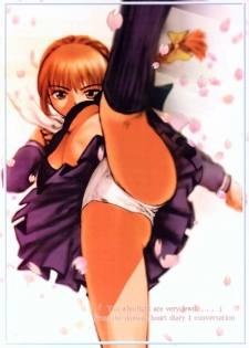 (C59) [RST Slave (Ebina Souichi)] Kasumi Hard Love (Dead or Alive) - page 34