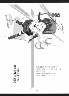 (CC11) [Yoru no Benkyoukai (Fumihiro)] Vita no hon 2 (Mahou Shoujo Lyrical Nanoha) - page 29