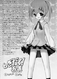 (C65) [STUDIO HUAN (Raidon)] Negidaku! Gyokumori (Mahou Sensei Negima!) - page 3