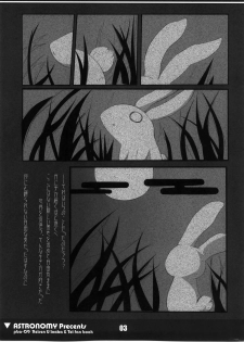 (C73) [ASTRONOMY (SeN)] Koisuru Usagi wa Setsunakute Reisen (Tewi) o Omou to Sugu XXX Shichau no (Touhou Project) - page 2