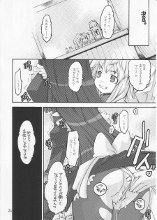 (C70) [Seinansei ni Kagayakeru Hoshi (Morino Papiko)] Ragnarok Yawa Level.8 (Ragnarok Online) - page 23