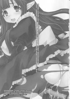 (C70) [Seinansei ni Kagayakeru Hoshi (Morino Papiko)] Ragnarok Yawa Level.8 (Ragnarok Online) - page 2