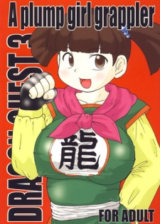 [Izumi Gakuen (School Izumi)] A plump girl grappler (Dragon Quest III)
