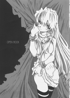 [OPEN BOOK (Toumi Haruka)] Dive Into The Night (Scrapped Princess) - page 2