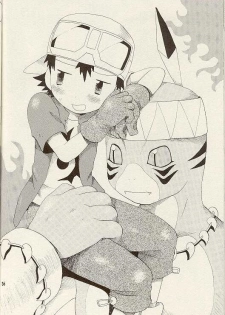 (LOVEx2 Monket!) [KuruGuru DNA (Hoshiai Hilo)] Tennen Douhou Kyuuden Enkinhou No Sho (Digimon Frontier) - page 35