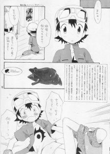 (LOVEx2 Monket!) [KuruGuru DNA (Hoshiai Hilo)] Tennen Douhou Kyuuden Enkinhou No Sho (Digimon Frontier) - page 11