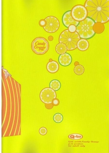 (C65) [Q-bit (Q-10)] Q-bit Vol. 06 - Candy Orange (One Piece) - page 28