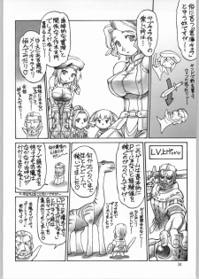 (C64) [Jack-O'-lantern (Ebifly, Neriwasabi)] Niji no Saku Basho (Final Fantasy XI) - page 33
