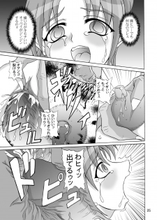 (C64) [Anglachel (Yamamura Natsuru)] Insanity 2 (Darkstalkers, King of Fighters) - page 24