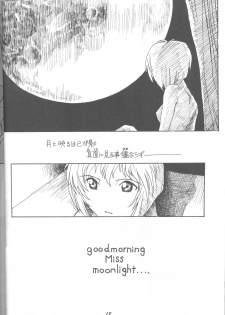 (C43) [Monochrome (Various)] Dummylip (Neon Genesis Evangelion) - page 17