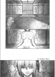 (C66) [Hellabunna (Iruma Kamiri)] INU/Intimacy (Dead or Alive) - page 4