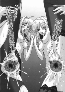 [TAMARANCHI (Q-GAKU)] Kokushi Musou (Fate/hollow ataraxia) - page 29