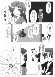 (C65) [Sumitan (Satou Kibi)] Sango-chan no Hon - Dai-san Maku (Inuyasha) - page 21