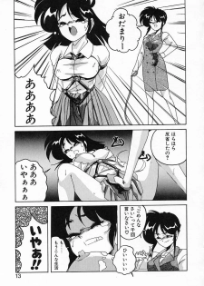 [Wanyanaguda] Nageki no Kenkou Yuuryouji IV - page 13