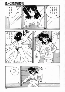 [Wanyanaguda] Nageki no Kenkou Yuuryouji IV - page 25