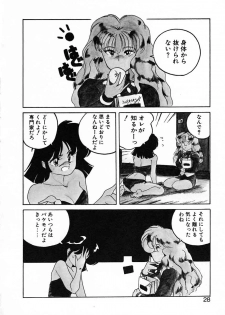[Wanyanaguda] Nageki no Kenkou Yuuryouji III - page 28