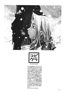 Kopigura ( Hellsing ) - page 3