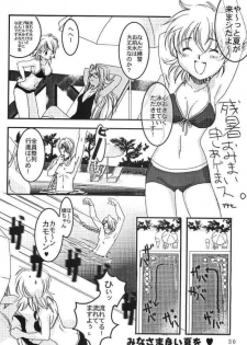 Kopigura ( Hellsing ) - page 29