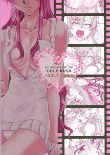 (C70) [GOLD RUSH (Suzuki Address)] Thank you! From Gold Rush (Gundam SEED DESTINY) - page 2