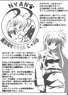 (SC31) [PHYSALIS (Seresu)] Lyrical Fate (Mahou Shoujo Lyrical Nanoha) - page 3