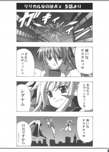 (SC31) [PHYSALIS (Seresu)] Lyrical Fate (Mahou Shoujo Lyrical Nanoha) - page 5