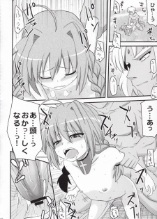 [Shin Seidou Honpo and Tounantou] Vita-chan no Shuushuu Nikki (Nanoha) - page 11
