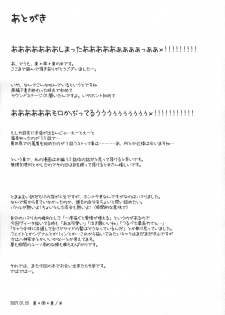 [Shin Seidou Honpo and Tounantou] Vita-chan no Shuushuu Nikki (Nanoha) - page 24