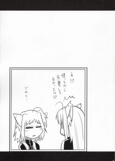 [Shin Seidou Honpo and Tounantou] Vita-chan no Shuushuu Nikki (Nanoha) - page 14