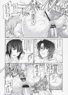 (C69) [GOLD RUSH (Suzuki Address)] Thank You! Lacus End (Gundam SEED Destiny) - page 25