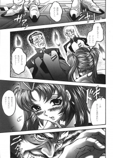 [STUDIO HAMMER ROCK (Itadaki Choujo)] Ikenie Shimai (Gundam Seed Destiny) - page 6