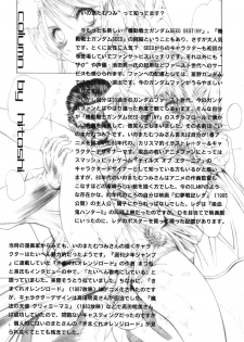 [STUDIO HAMMER ROCK (Itadaki Choujo)] Ikenie Shimai (Gundam Seed Destiny) - page 19