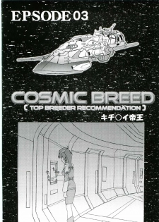 (CR37) [St. Rio (Kitty, Kouenji Rei)] COSMIC BREED 3 (Gundam SEED DESTINY) - page 25