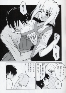 [St. Rio (Kitty, Ishikawa Ippei)] COSMIC BREED 4 (Gundam SEED DESTINY) - page 8