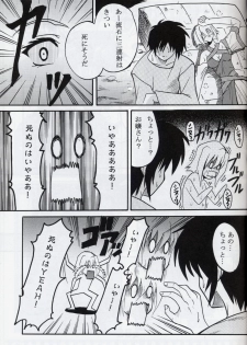 [St. Rio (Kitty, Ishikawa Ippei)] COSMIC BREED 4 (Gundam SEED DESTINY) - page 24
