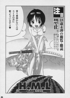 (C58) [Osakana Center (Various)] H.M.L (One Piece) - page 2