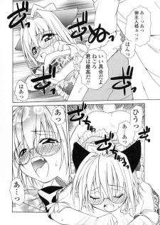 [Shizaki Masayuki] Ikeike!! Nekoro Maid - page 33
