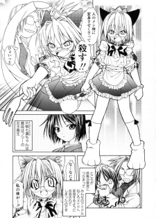 [Shizaki Masayuki] Ikeike!! Nekoro Maid - page 24